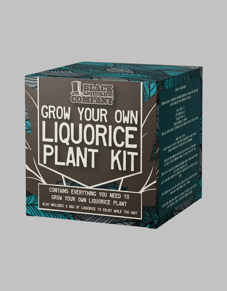 GROW YOUR OWN LIQUORICE PLANT KIT Black Liquorice Company