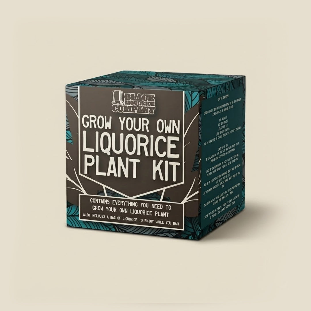 GROW YOUR OWN LIQUORICE PLANT KIT Black Liquorice Company